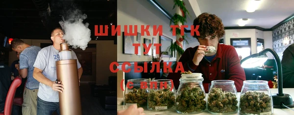 ALPHA-PVP Вяземский